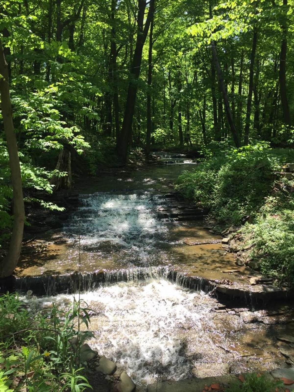 Discovering Blue Water Beach Campground: Your Ultimate Guide to a Perfect Getaway