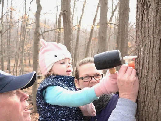 Tap into the Sweetness of Spring at these Maple Syrup locations