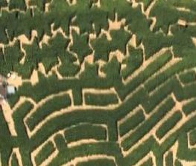 Moonlight Mazes in Macedon