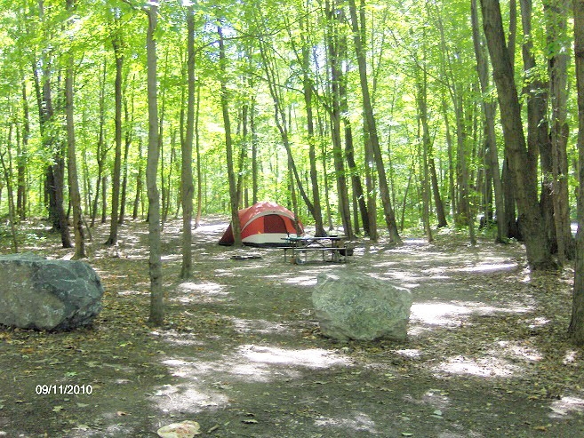 Finger Lakes National Forest