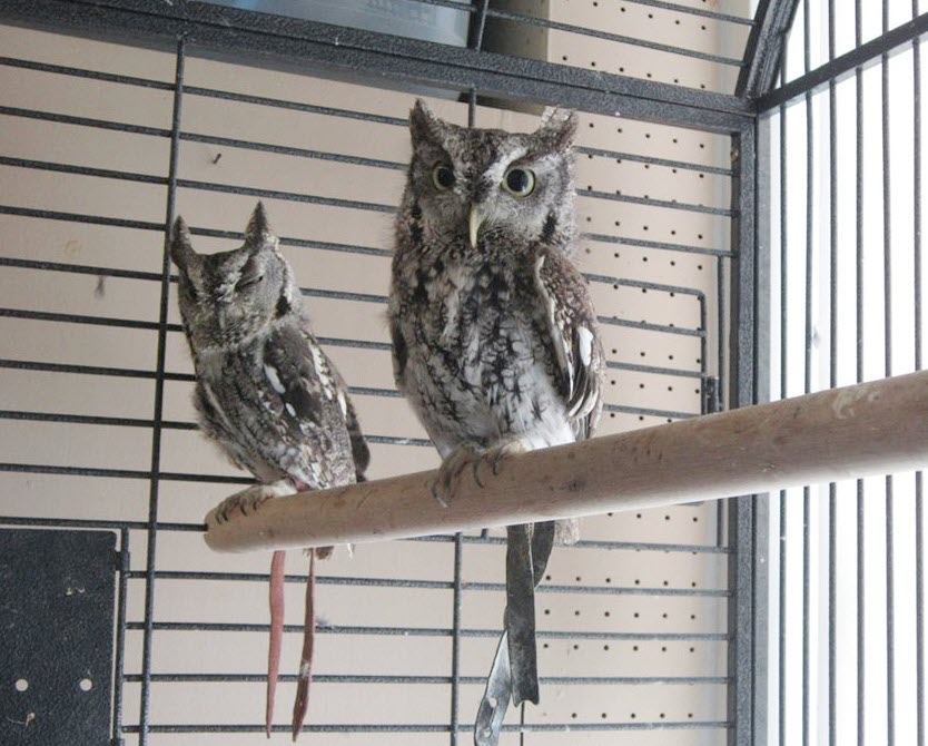 Helmer Nature Center