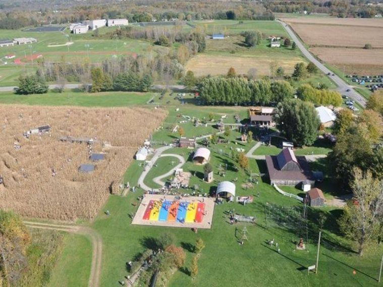 Fall on the Farm