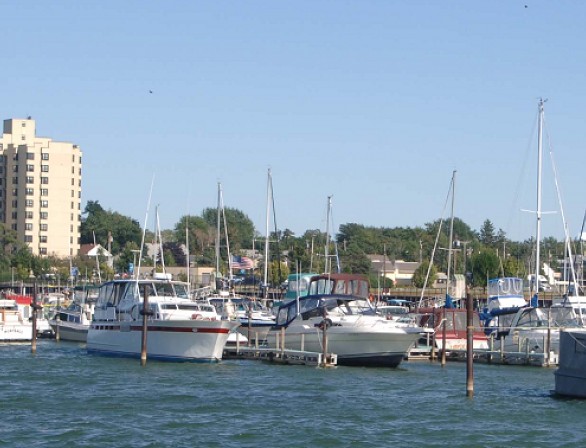 Fredonia