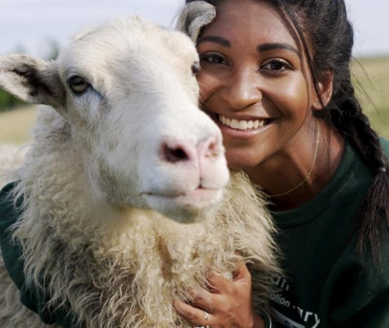 Farm Sanctuary
