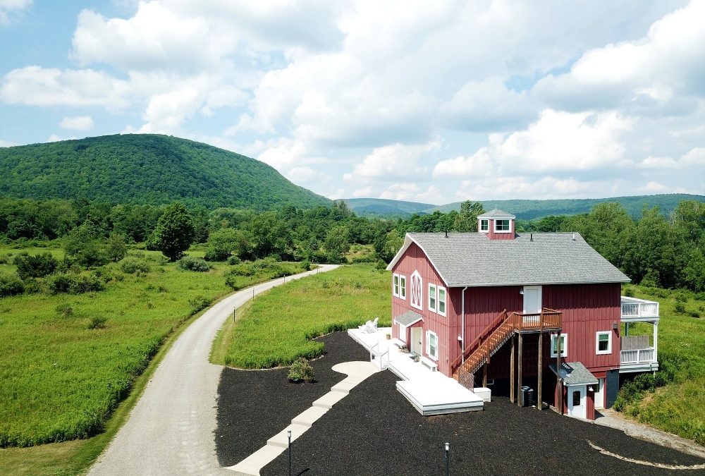 Mountain Horse Farm