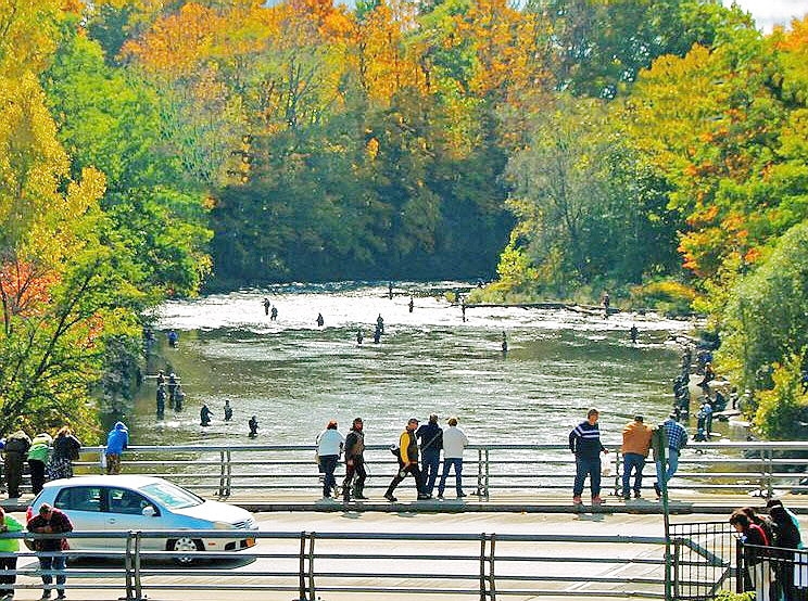 Fishing on the Salmon River