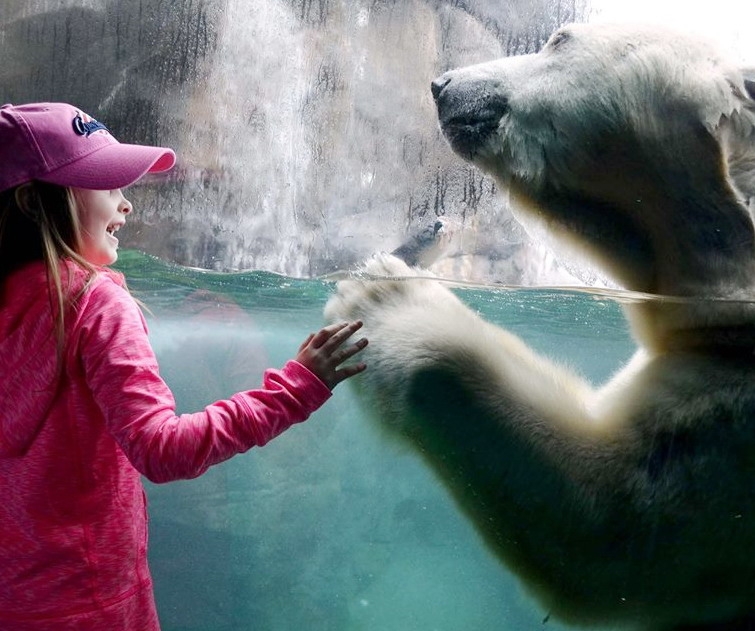 Seneca Park Zoo