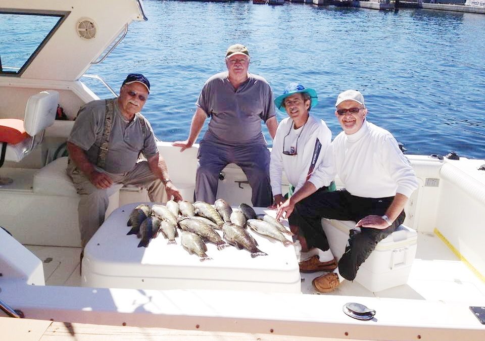 Seaway Charters