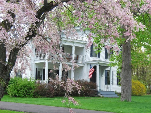 Serendipity Bed & Breakfast