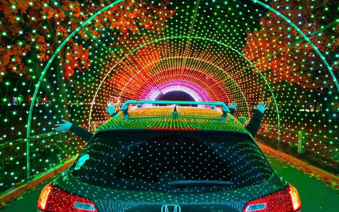Dazzling Displays Light Up the Holidays