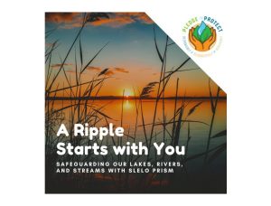 Don’t Let Invasive Species Make Waves: Learn How to Protect New York’s Waterways