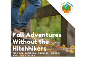 Fall Adventures without the Hitchhikers